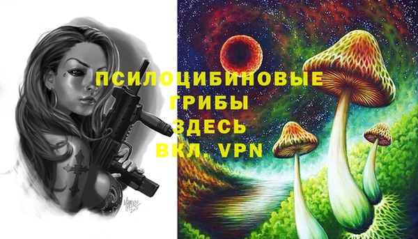 МДПВ Вязники
